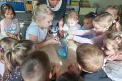 37d15ee8-8fe3-4adb-8c59-31d98a24f226