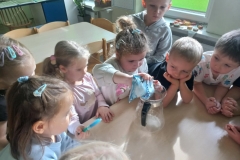 d436f8c6-ecb5-4c82-8b35-3a03e5ccc296