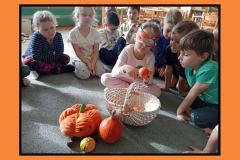 DZIEN DYNITekst akapitu - 1