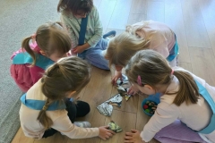 a3c1a4a0-ca5d-43d5-82b6-e272d7a13210