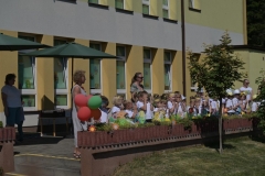 IMG-20260610-WA0041