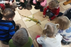 8f92a7f4-2d9c-44aa-89d1-38f364042f0f