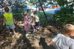 d7b6d54c-5517-45bc-9b10-bb0ef5ec9af4