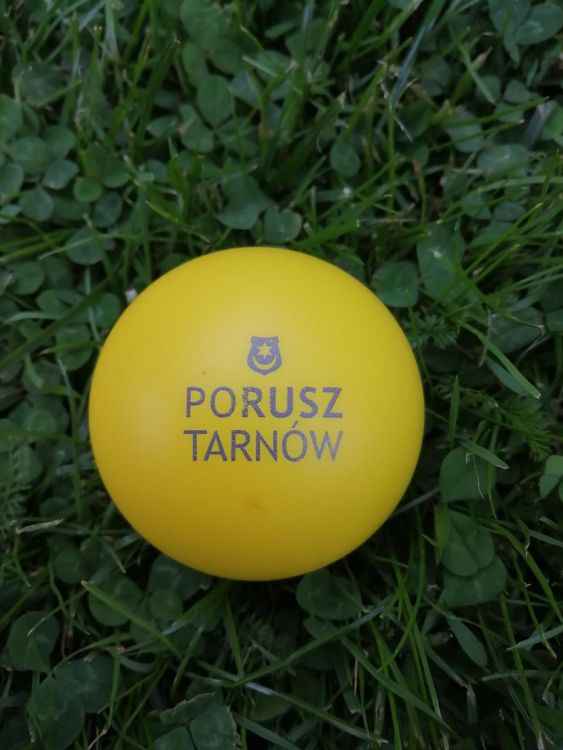 WSTĘP-Drogie-Przedszkolaki-Porusz-Tarnów