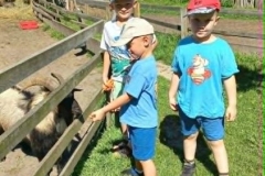 08